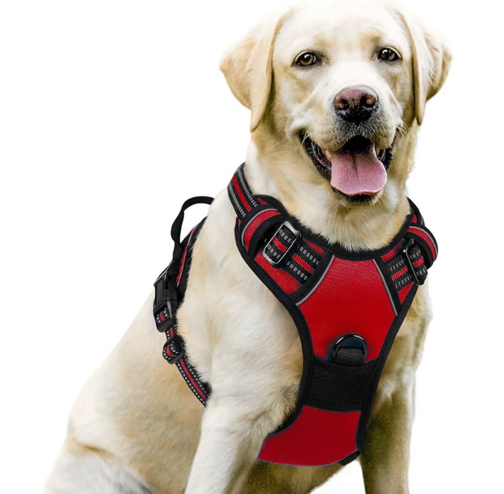 Skoen™ No-Pull Dog Harness Vest Adjustable Outdoor Handle Puppy Pet